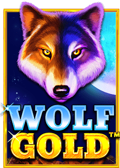 wm555 ทดลอง เล่น สำหรับผู้รักสล็อตไม่ควรพลาด